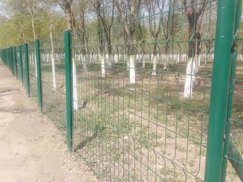 �������o�ڈDƬ