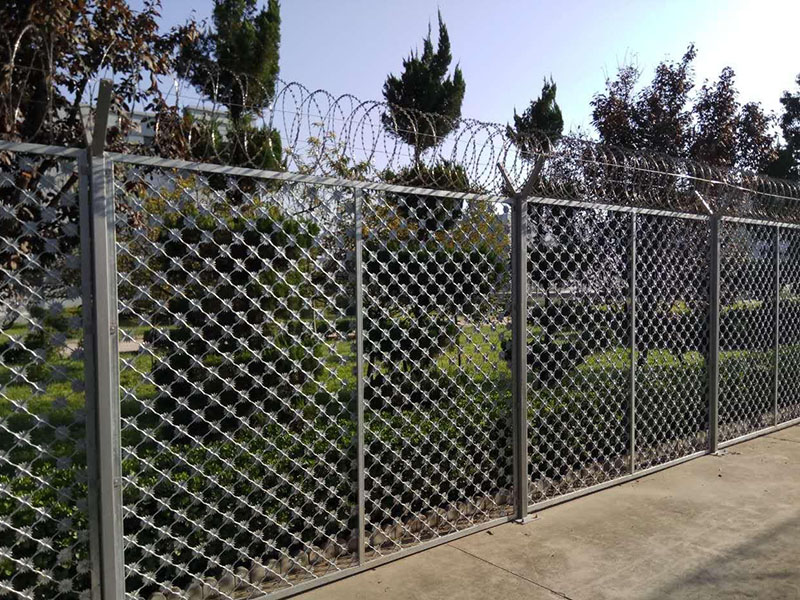 ÷���̾W��B